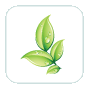 tiz_010_lystochok.gif